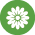 Spring icon with green circle and white flower
